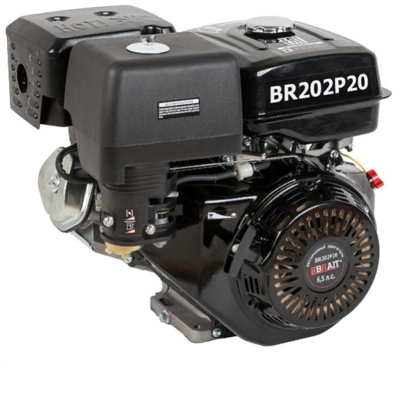 Двигатель 6,5 л.c. d=20мм. Brait BR202P20 в Волжске